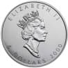 Stříbrná mince 1 Oz Maple Leaf 2000