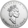 Stříbrná mince 1 Oz Maple Leaf 2001