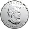 Stříbrná mince 1 Oz Maple Leaf 2009