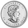 Platinová mince 1 Oz Maple Leaf 2012