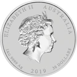 Stříbrná mince 1 Kg Lunar Series II Year of the Pig 2019