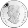 Stříbrná mince 1 Oz Princ Charles 2011