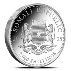 Stříbrná mince 1 Oz African Wildlife Elephant 2025