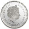 Stříbrná mince 1 Oz The Queens Golden Jubilee 2002 Proof