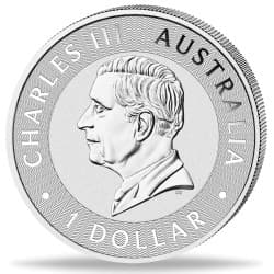 Stříbrná mince 1 Oz Kangaroo 2026