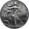 Stříbrná mince 1 Oz American Eagle 2010