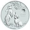 Stříbrná mince 1/2 Oz Lunar Series III Year of the Rabbit 2023