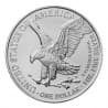 Box 500 x stříbrná mince 1 Oz American Eagle