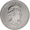 Stříbrná mince 1 Oz Maple Leaf 2011