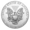 Stříbrná mince 1 Oz American Eagle 2019
