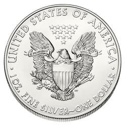Stříbrná mince 1 Oz American Eagle 2013