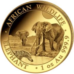 Zlatá mince 1 Oz African Wildlife Elephant 2026