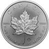 Stříbrná mince 1 Oz Maple Leaf 2026